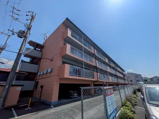 カノアの画像