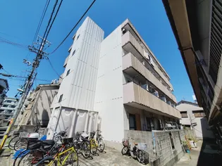 HALE KADOMAの画像