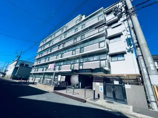 グレイシィーK Yの画像