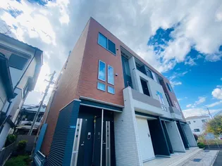 カメリア サザンカの画像