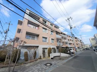 CORNASAVENUE ー コルナスアベニューの画像