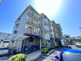 マーブルコートの画像