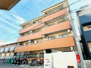 コウジィーコートマローの画像