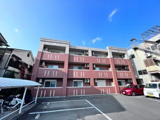 ブルーバードの画像