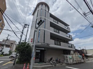 フェリシーダ石津の画像