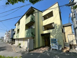 フェアリーアオイの画像