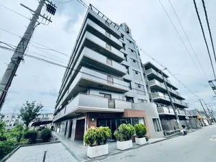 キャピタル キダの画像