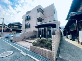 ネストクレールの画像