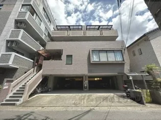 ピュア桂の画像