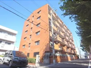 プレシャス桂の画像