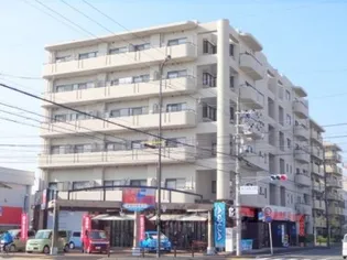 サンホワイト葛野【401号室】の外観