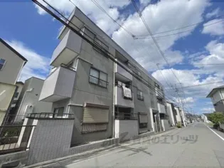 シャンブルド桂の画像