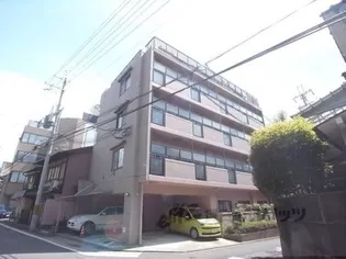 ピュア衣笠の画像