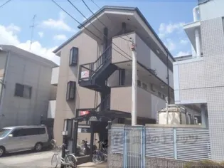 ルピナスの画像