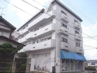 グレース桂【402号室】の外観
