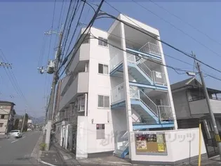 ブルーマウンテンの画像