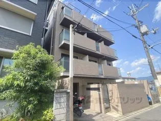 REQUIE紫竹の画像