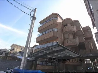 モンテリザヤの画像