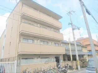 NA SANTA PAZ北山の画像