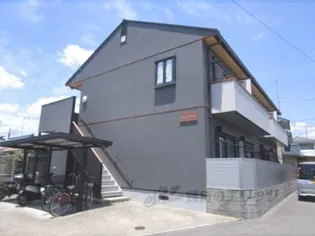 ロココ テンの画像