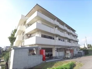 コーポポルスター【203号室】の外観