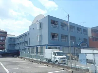 グラフィーネ向島の画像