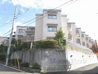 GRAN PINO伏見桃山の画像