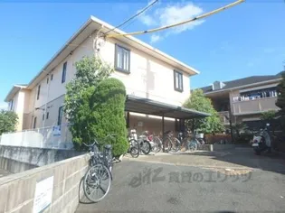 アクロポリスTの画像