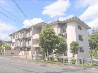 メゾン宇多野【306号室】の外観