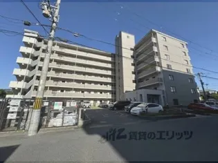 デミューズ木幡【7階】の外観