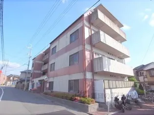 シャン デ リの画像