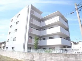 エクシーマ19【305号室】の外観