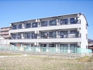 エクセレント上桂【202号室】の外観