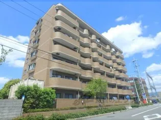 グレース ダインの画像