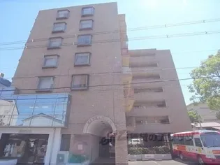 コスモ星の子ハイツ【401号室】の外観