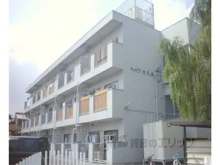 ハイツ大八木【303号室】の外観