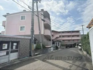 アートプラザ野路の画像