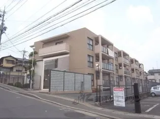 ローファス小島の画像