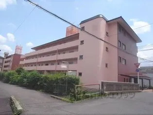 ハイツ桂A棟【4-A号室】の外観