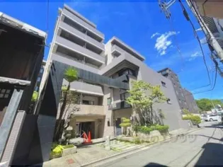 クレマチス28の画像