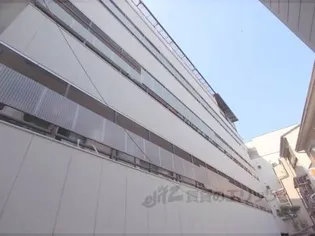 グリーンシティーの画像