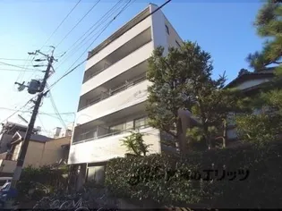 マウンテンリップの画像