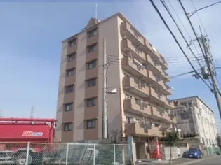 グリーンスカイ藤の画像