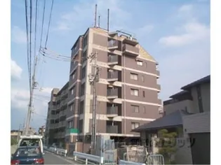 セジュール河部の画像