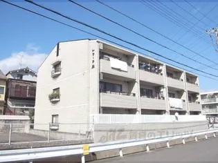 トマーテ桂の画像