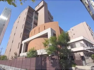 MZグラヴィールの画像