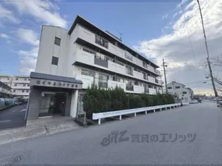 第一ロイヤルハイツ和田の画像