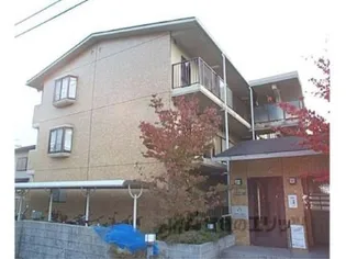 カサグランデ雅の画像