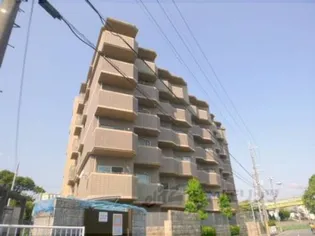 サン フローラの画像