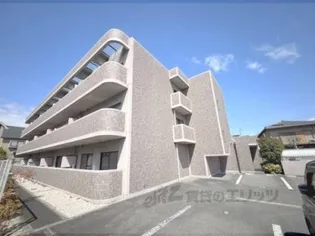 フルール花水木の画像